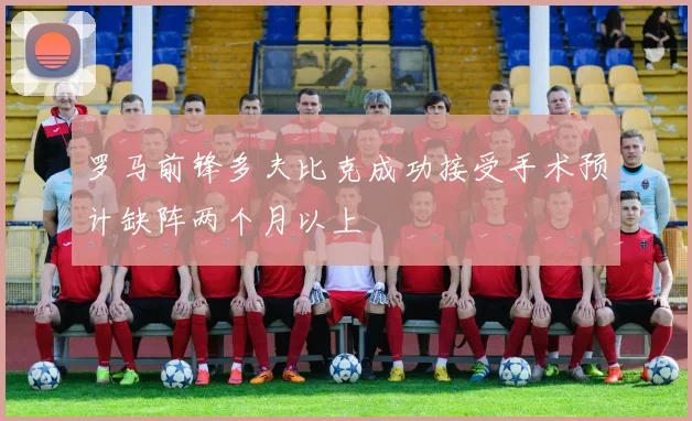 罗马前锋多夫比克成功接受手术预计缺阵两个月以上