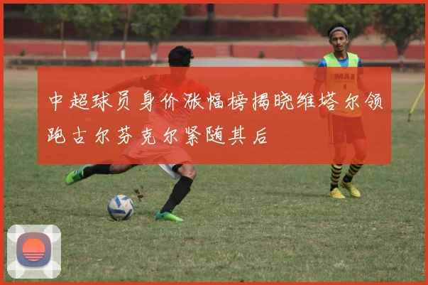 中超球员身价涨幅榜揭晓维塔尔领跑古尔芬克尔紧随其后