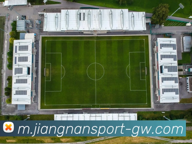 多媒体互动体验